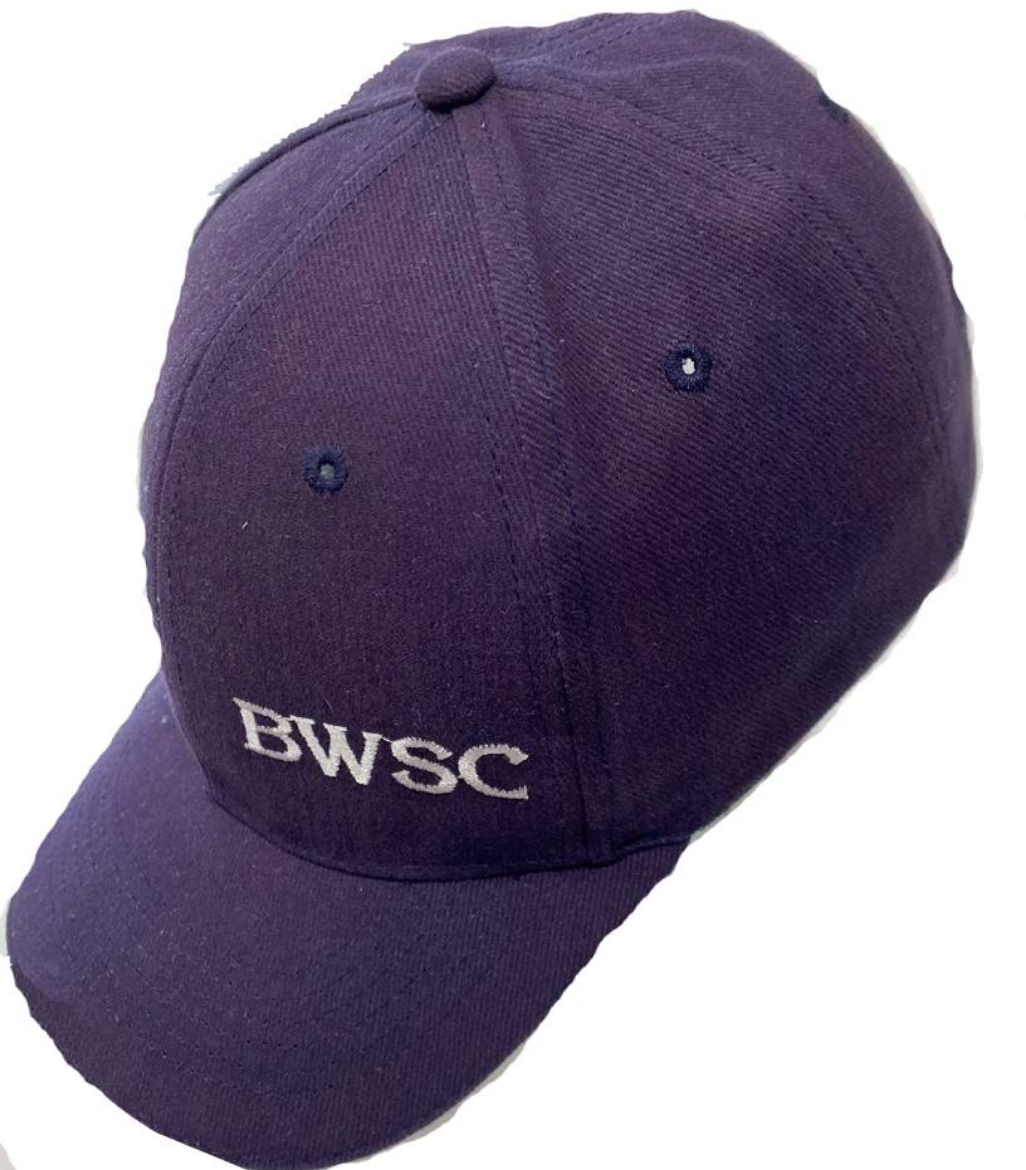 Picture of Brisbane Waters Sec College Cap, Navy / Gold